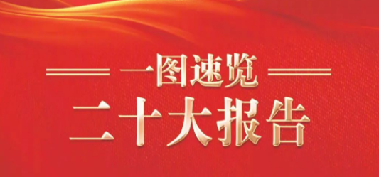 一图速览二十大报告