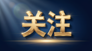 致全县广大人才朋友的一封信